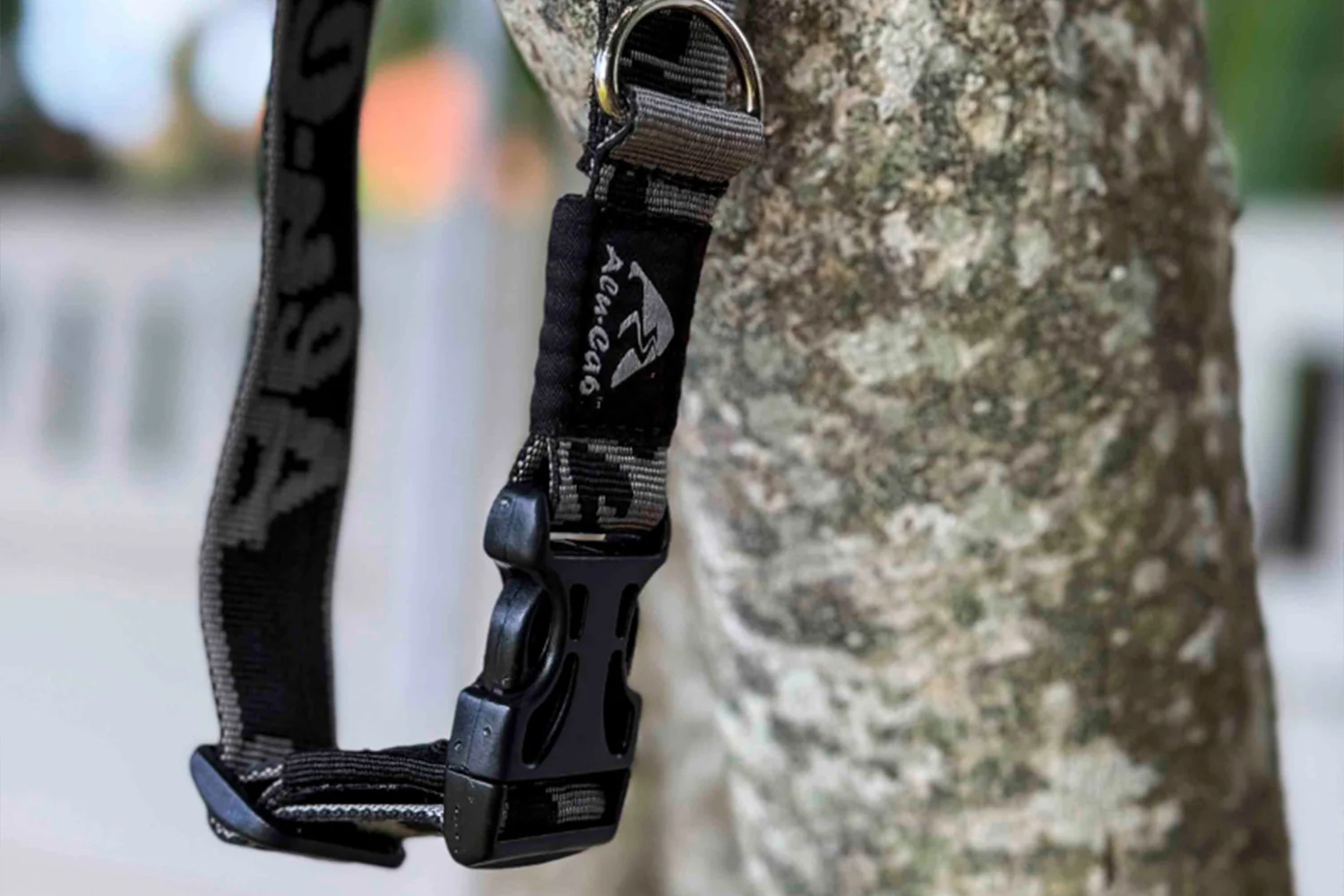 Trail Buddy Dog Collar - Image 5